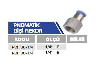 PNOMATİK DİŞİ REKOR